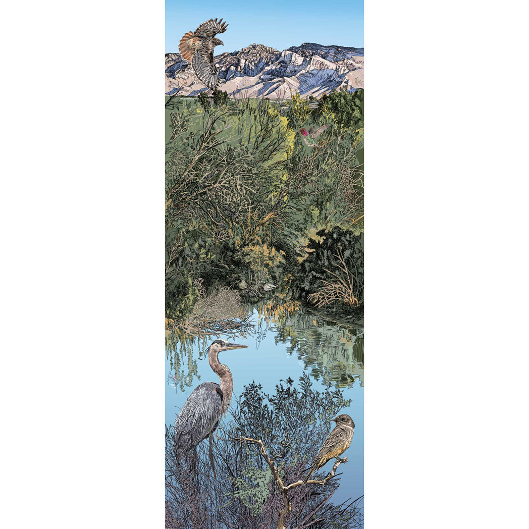 Poster of El Rio Preserve in Marana, Arizona