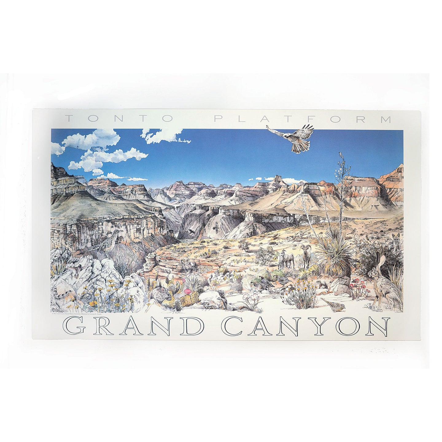 Tonto Plateau in the Canyon poster, Grand Canyon National Park, Arizona