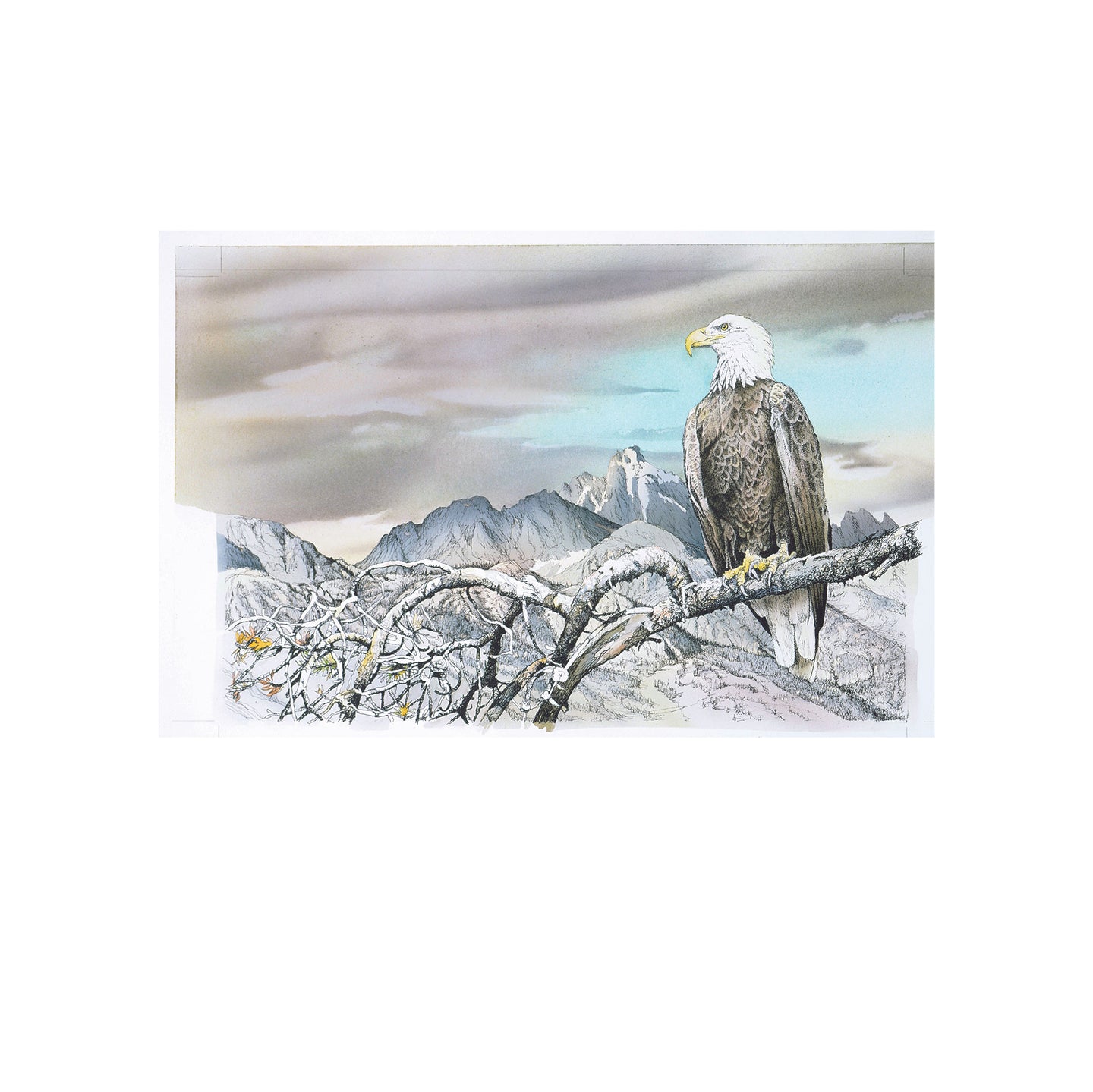 Bald eagle in front of Grand Teton watercolor, Grand Teton National Park, Wyoming