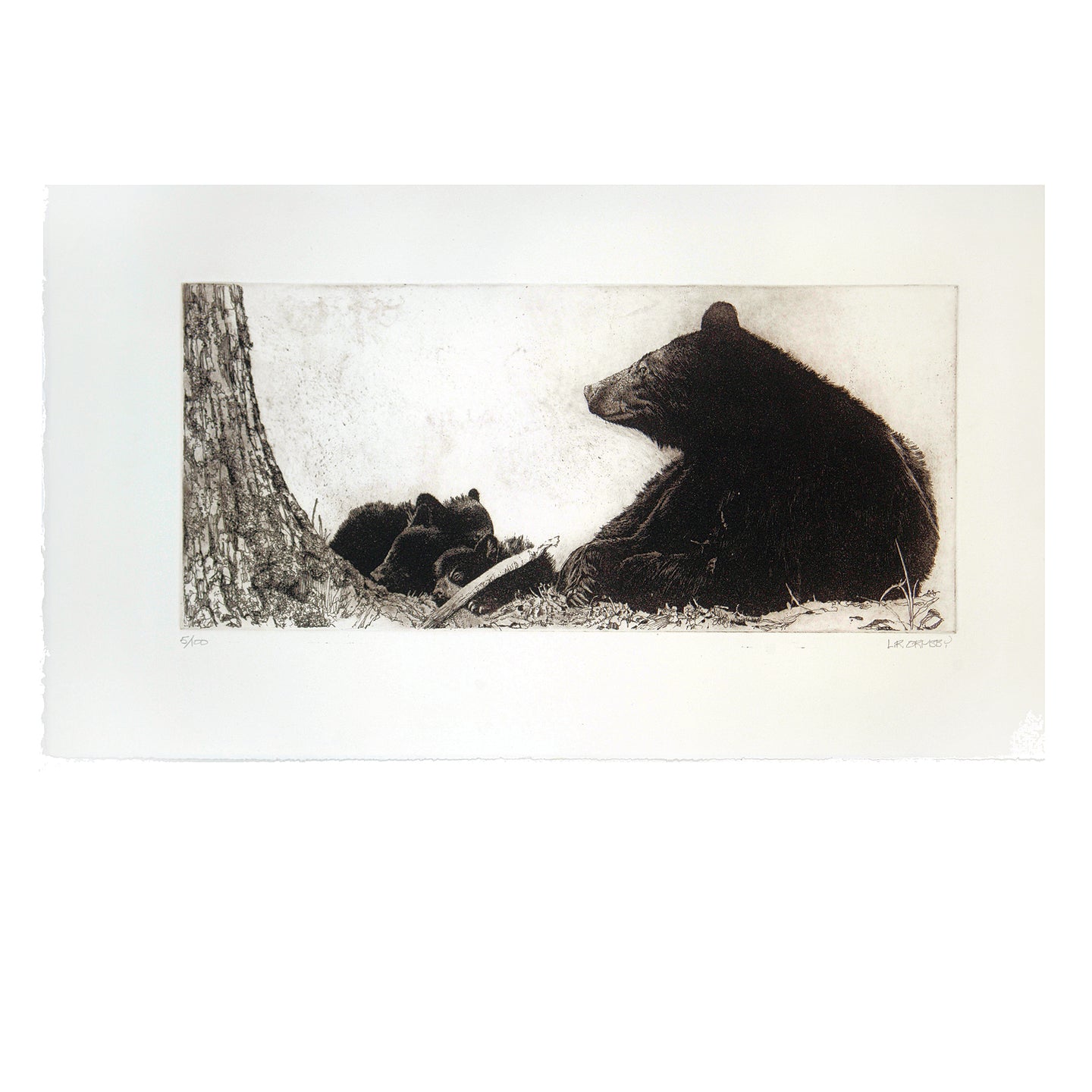 Black bear with cubs etching, Great Smoky Mountain National Park, Tennessee