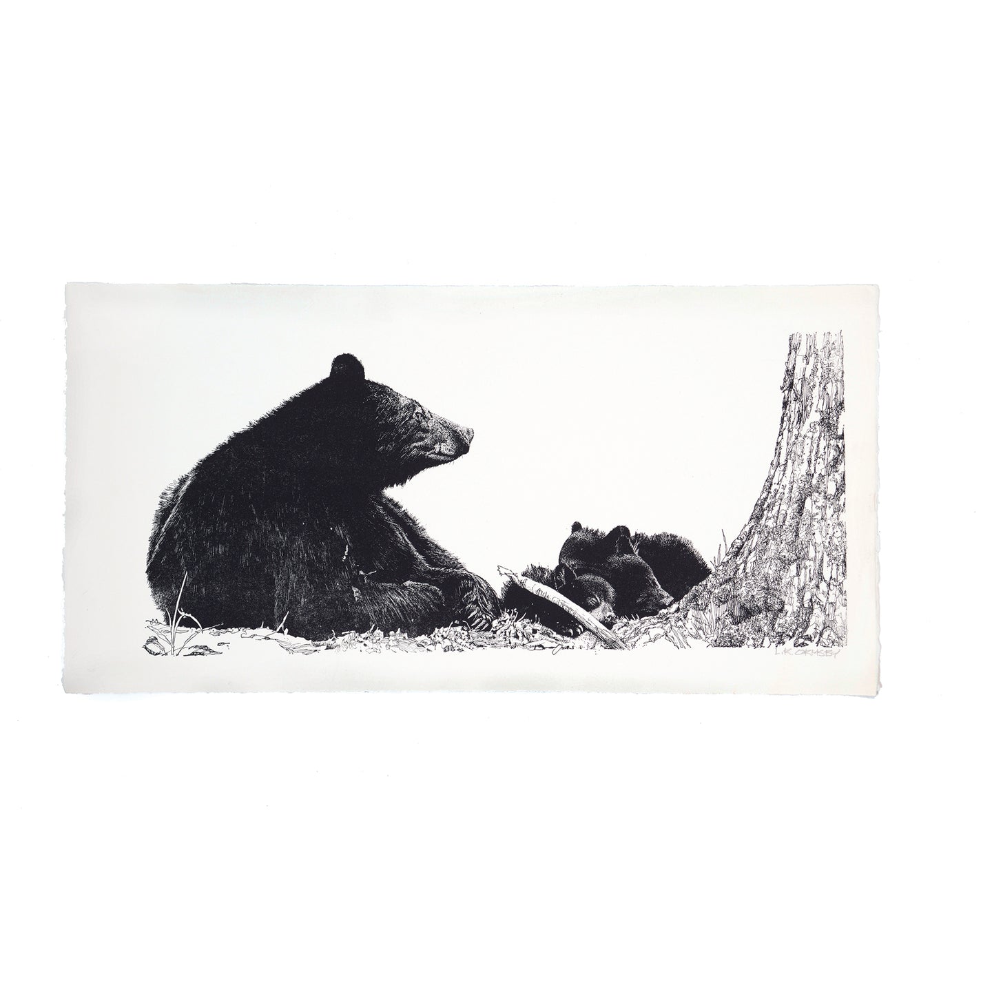 Black bear with cubs engraving, Great Smoky Mountain National Park, Tennessee