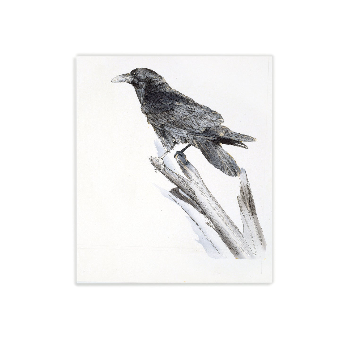 Raven on a stick watercolor