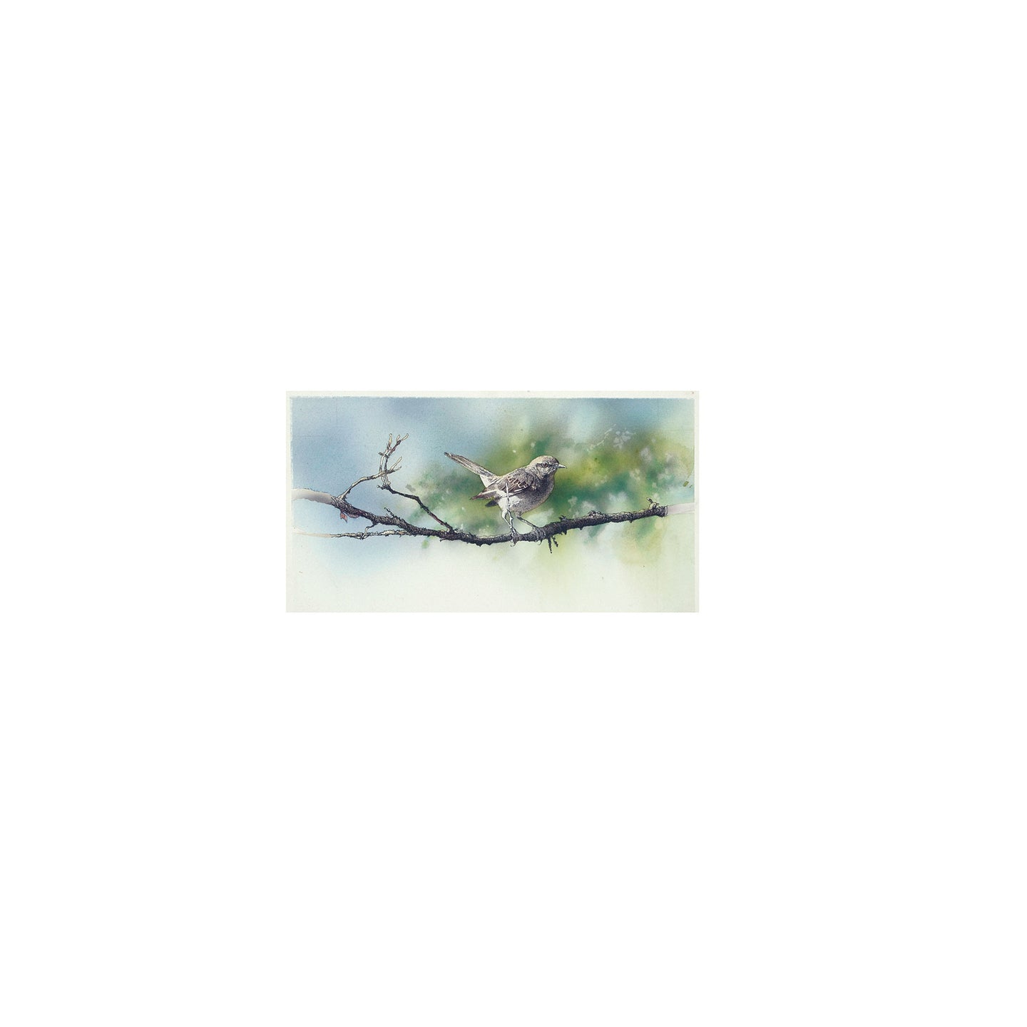 Mockingbird