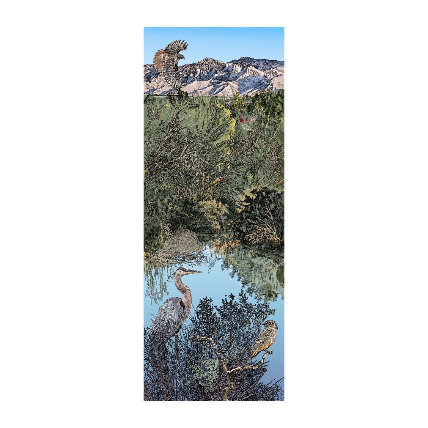 El Rio Preserve Habitat Drawing, Town of Marana, Arizona