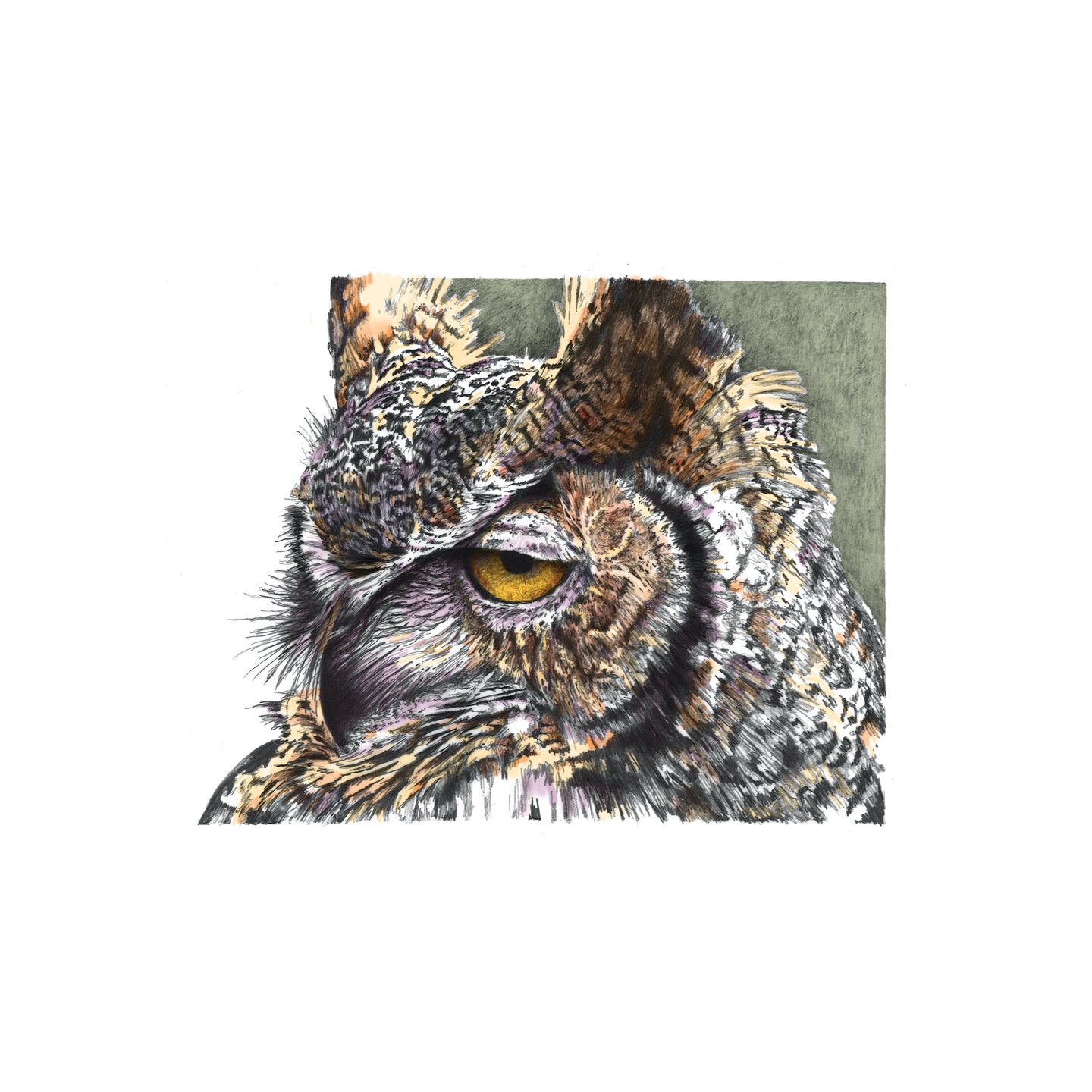 Great Horned Owl, Badlands National Park, South Dakota